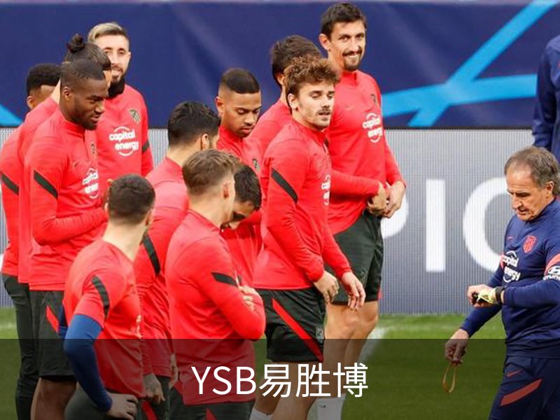 YSB易胜博简介